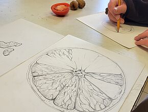 Agrandir l'image (fenêtre modale)