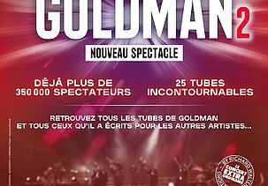 L’héritage Goldman 2