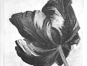 Agrandir l'image (fenêtre modale)
