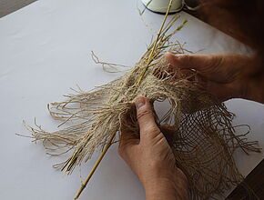 Agrandir l'image (fenêtre modale)
