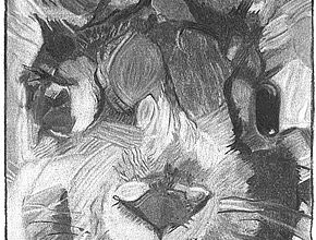 Agrandir l'image (fenêtre modale)