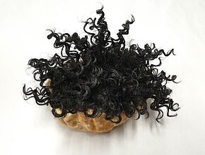 Agrandir l'image (fenêtre modale)