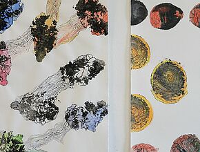 Agrandir l'image (fenêtre modale)